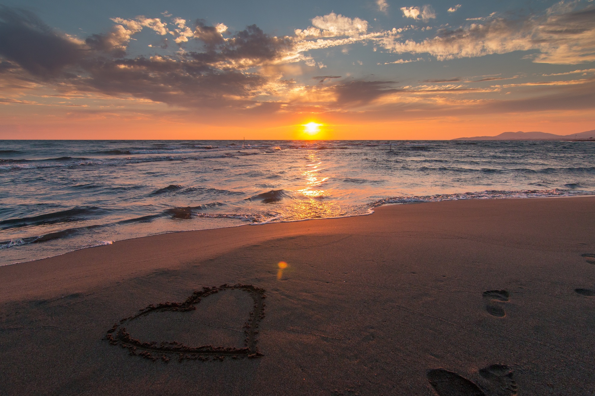 sunshine coast disability support
