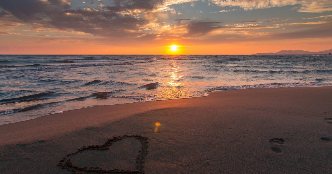 sunshine coast disability support